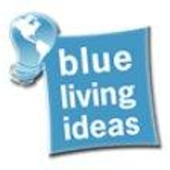 Blue Living Ideas