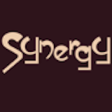 Synergy Salon and Spa